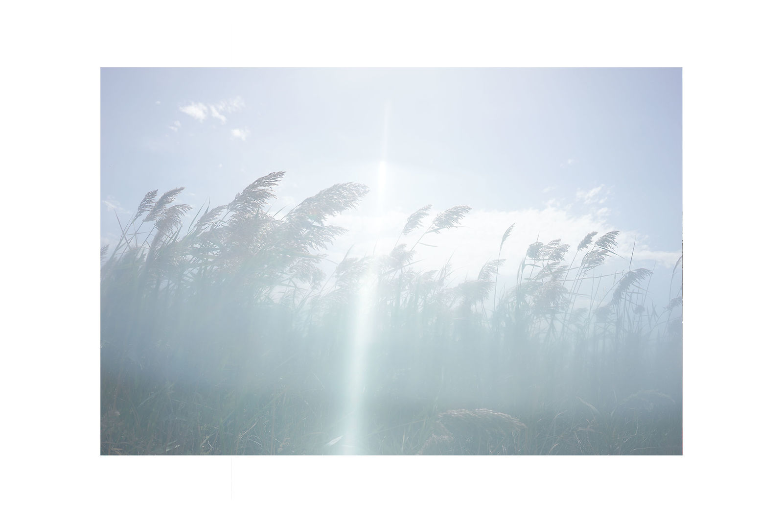 High Gras I