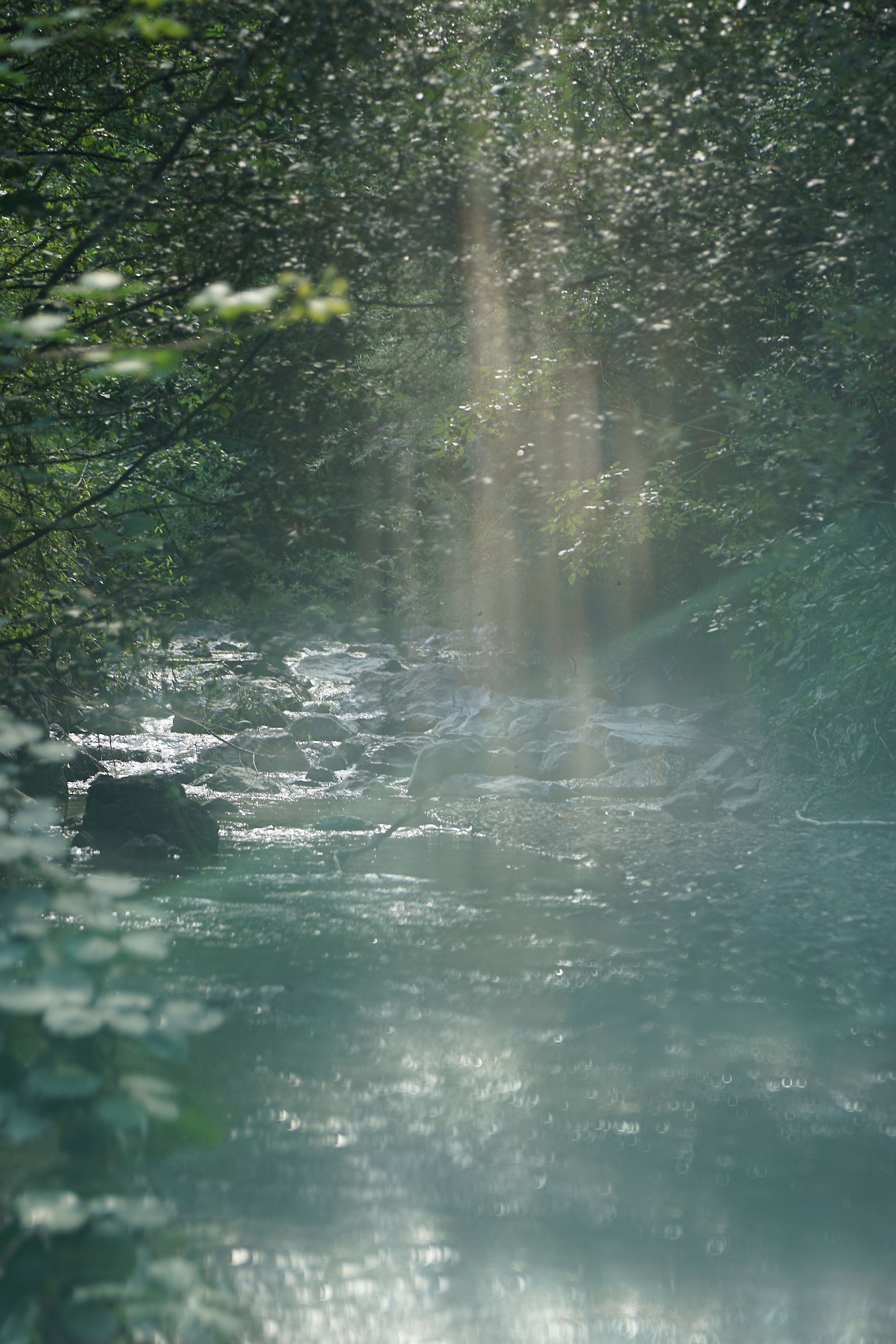 Riverscape I